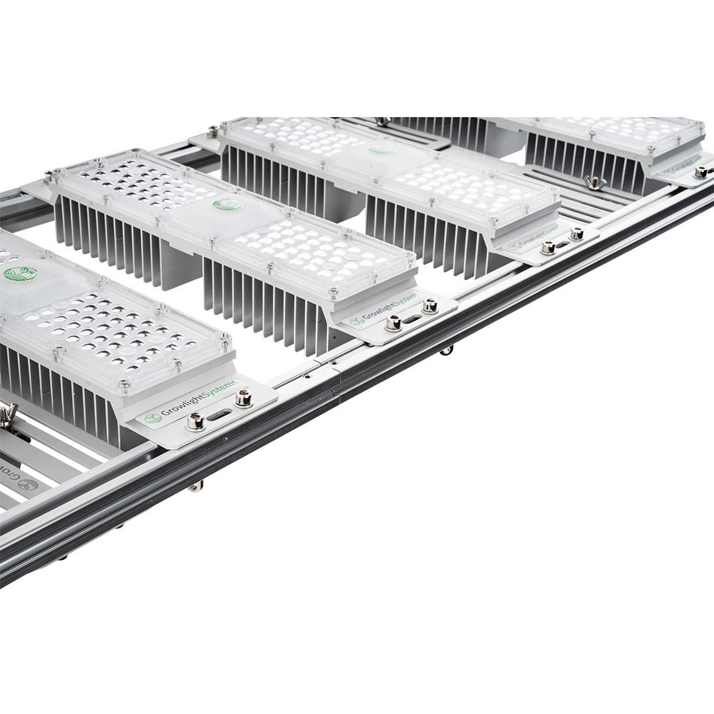 TentyProX6 300W
